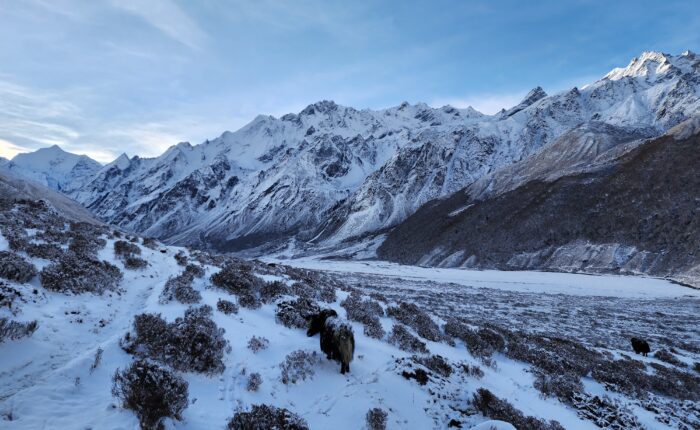 Spectacular Langtang Valley with rivers, mountains, and indigenous communities along the trekking path.