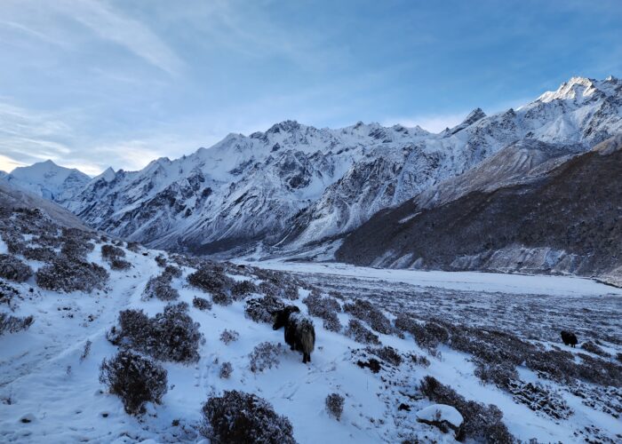 Spectacular Langtang Valley with rivers, mountains, and indigenous communities along the trekking path.