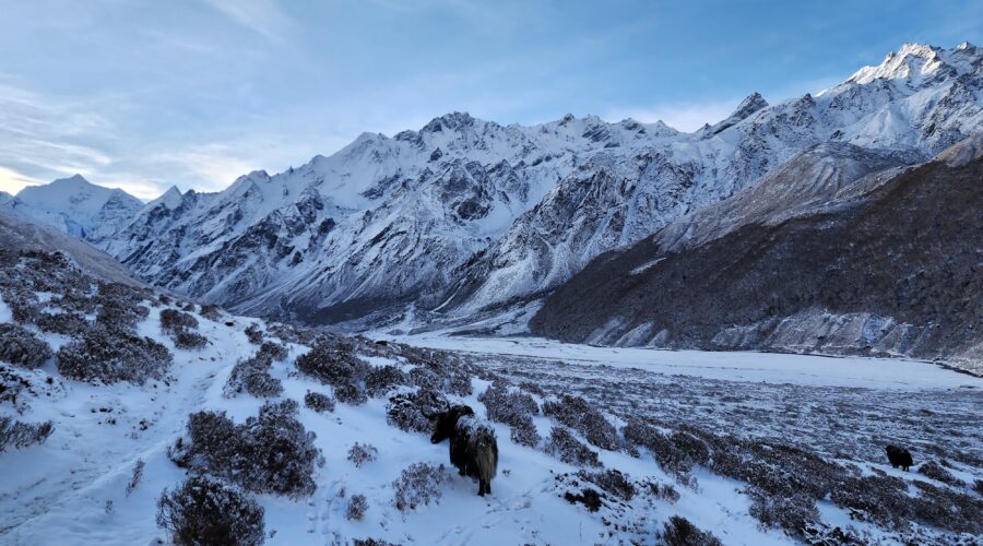 Spectacular Langtang Valley with rivers, mountains, and indigenous communities along the trekking path.