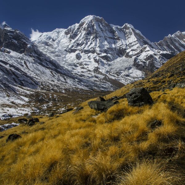 Annapurna Base Camp Trek; Surrounded by snowy Himalayan peaks and glacier views.